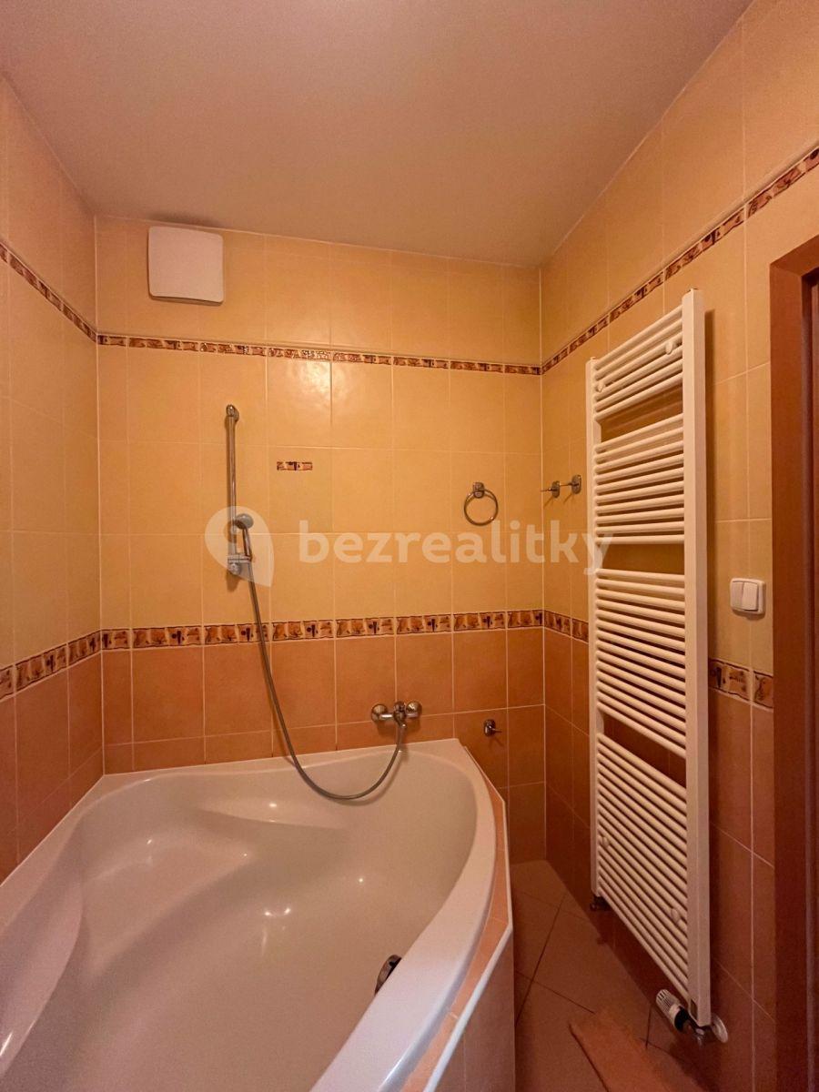 1 bedroom with open-plan kitchen flat to rent, 51 m², Míšovická, Prague, Prague