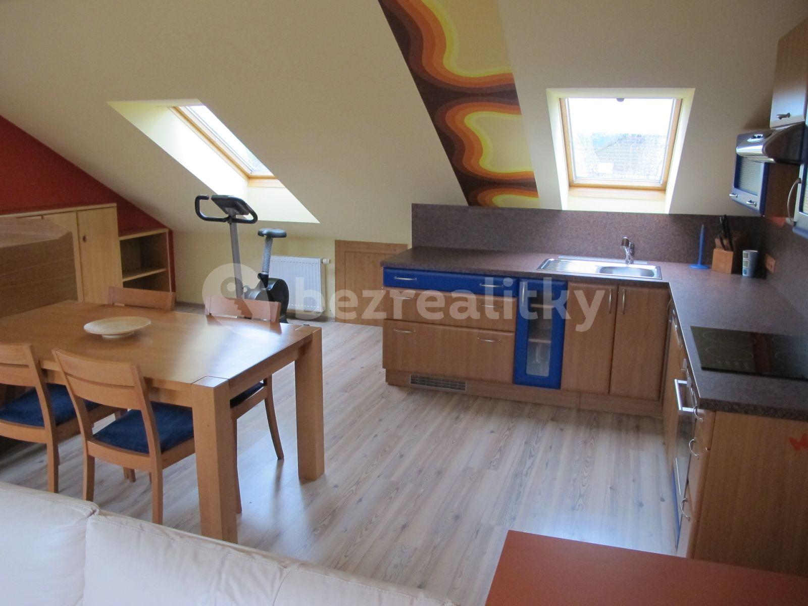 1 bedroom with open-plan kitchen flat to rent, 75 m², Spojovací, Sulice, Středočeský Region