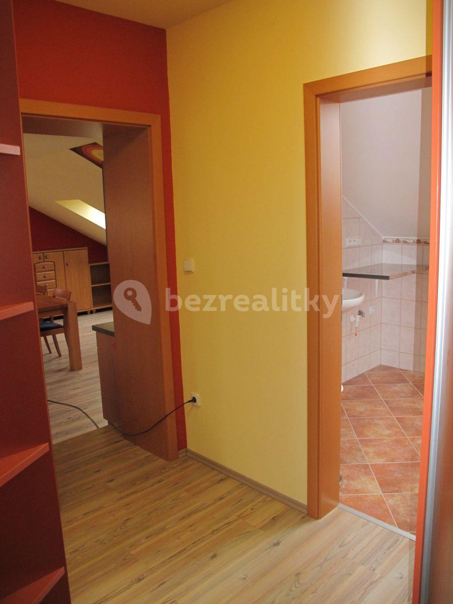 1 bedroom with open-plan kitchen flat to rent, 75 m², Spojovací, Sulice, Středočeský Region