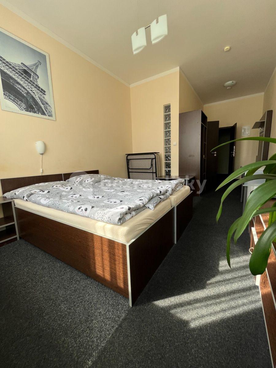 Studio flat to rent, 23 m², Poznaňská, Sázava, Středočeský Region