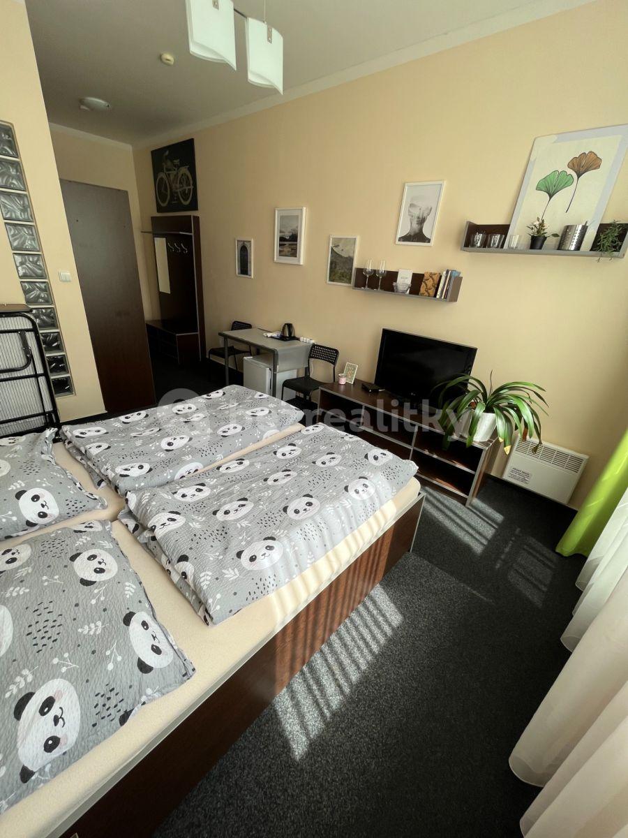 Studio flat to rent, 23 m², Poznaňská, Sázava, Středočeský Region