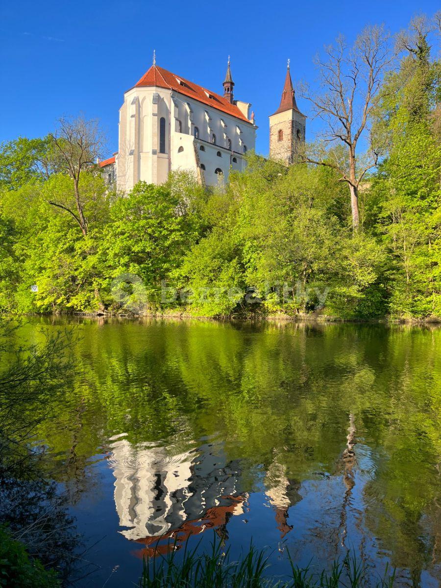 Studio flat to rent, 23 m², Poznaňská, Sázava, Středočeský Region