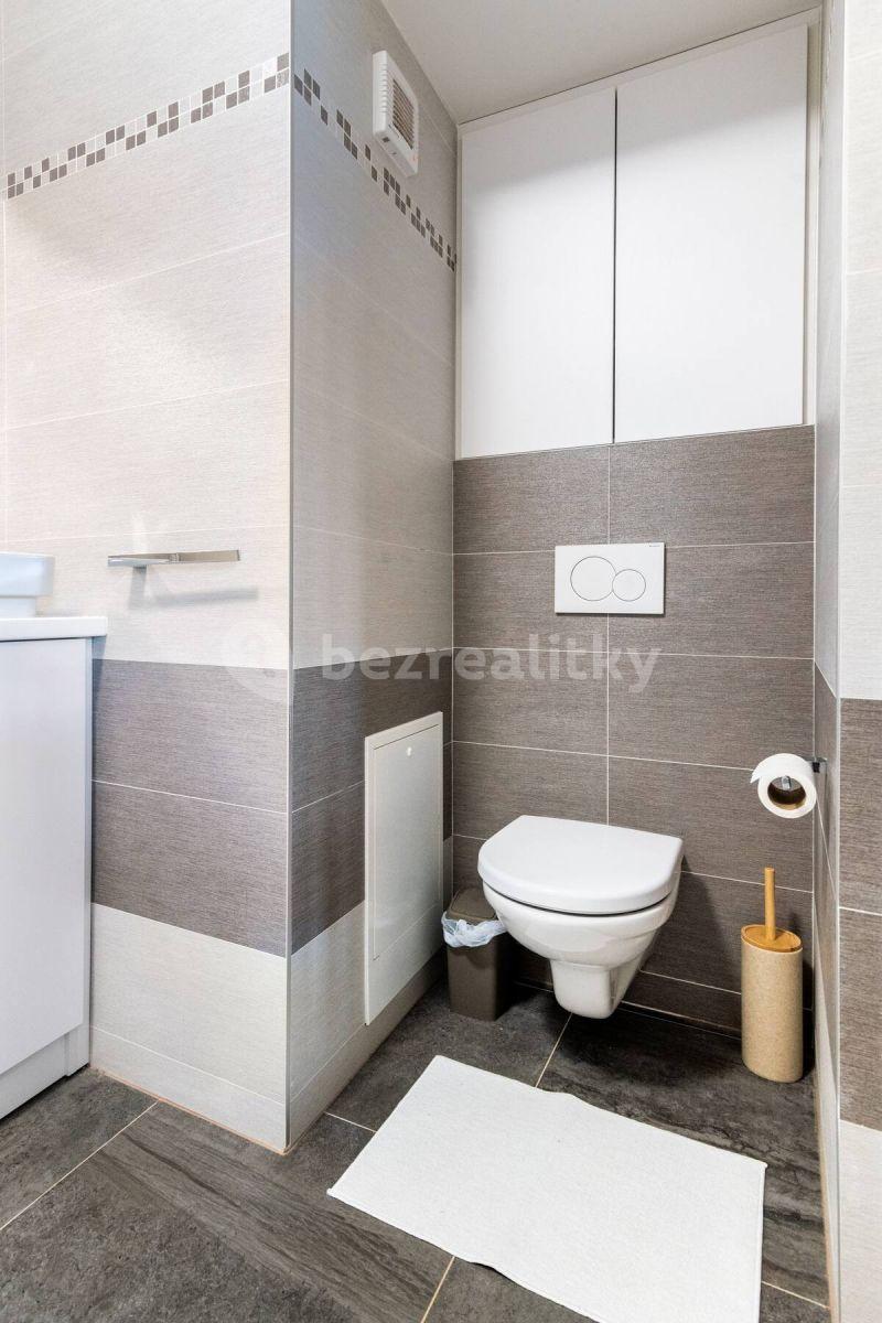 1 bedroom with open-plan kitchen flat to rent, 65 m², Holečkova, Prague, Prague