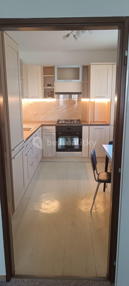 2 bedroom with open-plan kitchen flat to rent, 65 m², Odlehlá, Prague, Prague