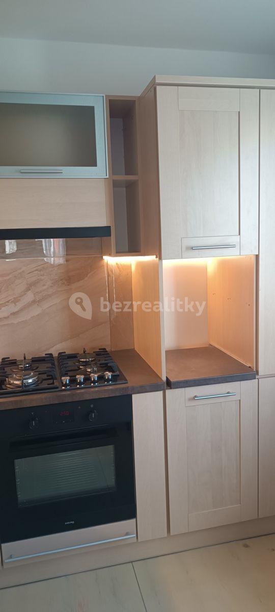 2 bedroom with open-plan kitchen flat to rent, 65 m², Odlehlá, Prague, Prague