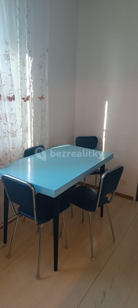 2 bedroom with open-plan kitchen flat to rent, 65 m², Odlehlá, Prague, Prague