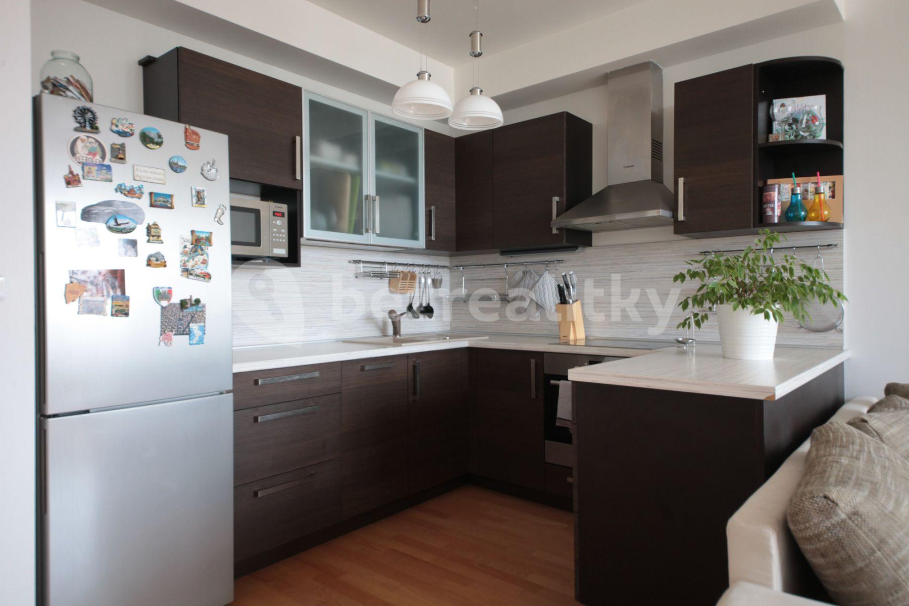 1 bedroom with open-plan kitchen flat to rent, 54 m², Tlumačovská, Prague, Prague