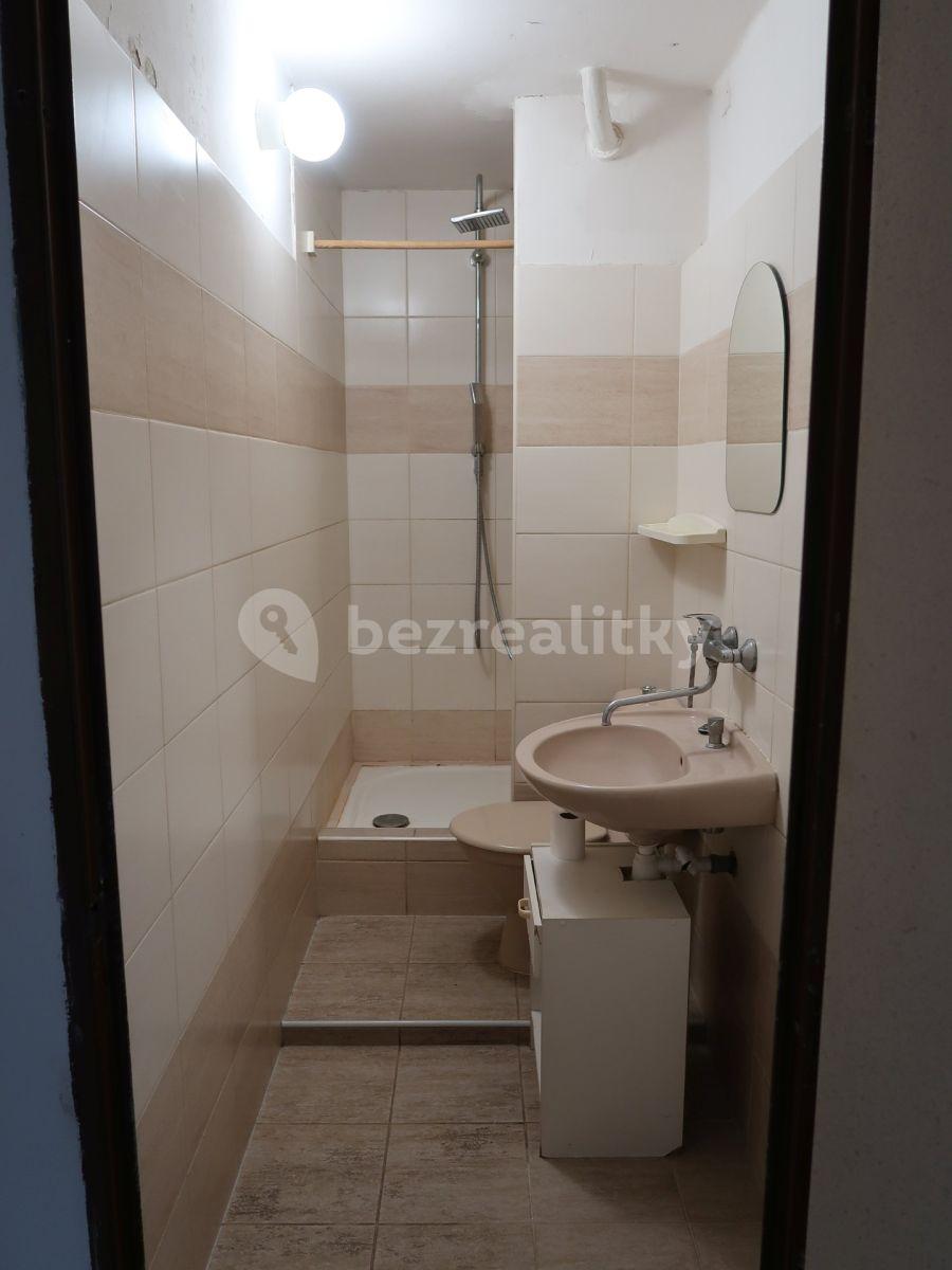 1 bedroom with open-plan kitchen flat to rent, 34 m², Veverkova, Hradec Králové, Královéhradecký Region