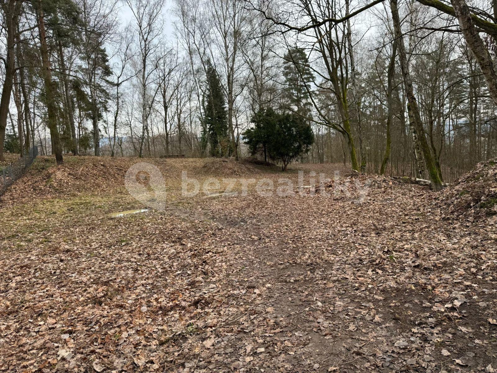 plot for sale, 5,519 m², Hrubá Skála, Liberecký Region