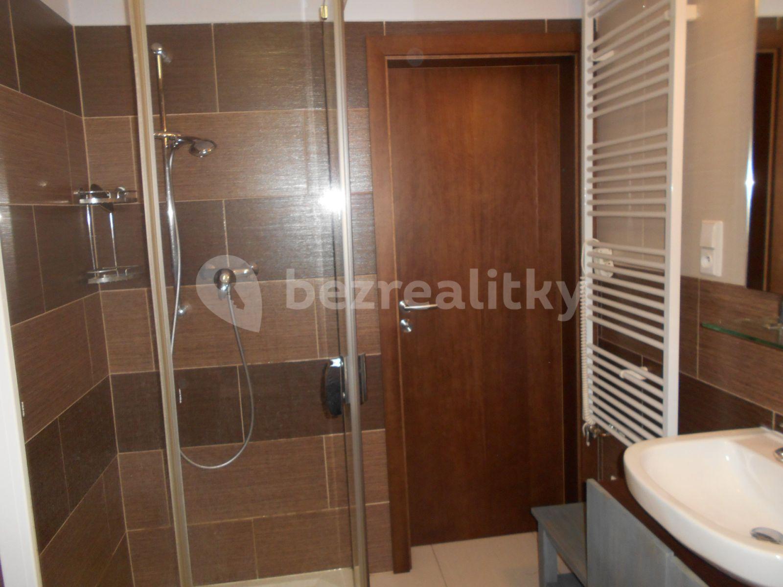 2 bedroom with open-plan kitchen flat to rent, 90 m², Za Strahovem, Prague, Prague