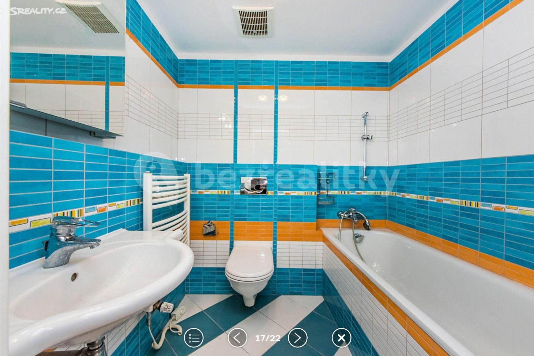 1 bedroom with open-plan kitchen flat to rent, 74 m², Sádky, Prague, Prague