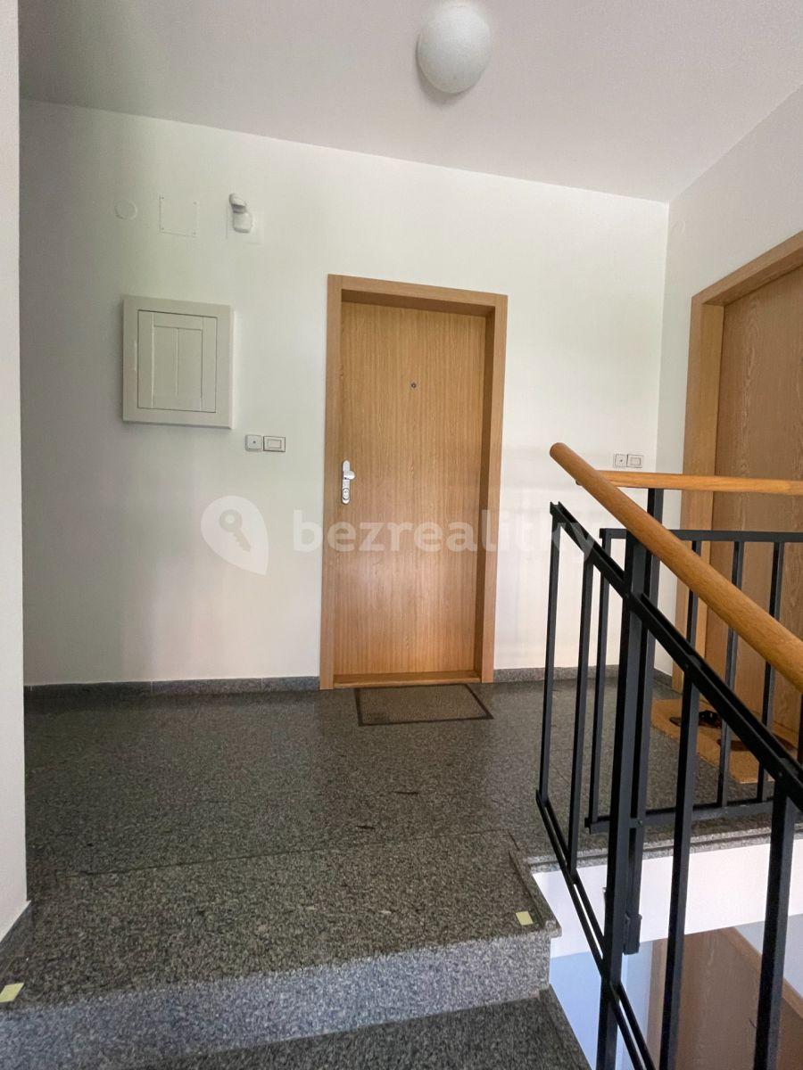 1 bedroom with open-plan kitchen flat to rent, 74 m², Sádky, Prague, Prague