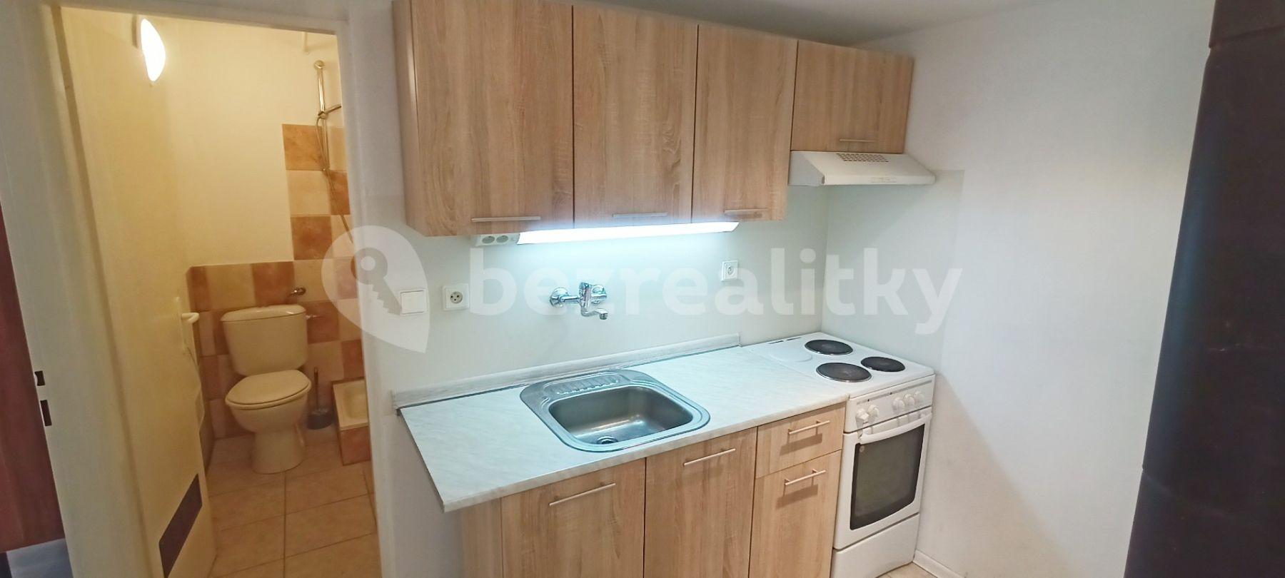 1 bedroom with open-plan kitchen flat to rent, 36 m², U Koruny, Kutná Hora, Středočeský Region