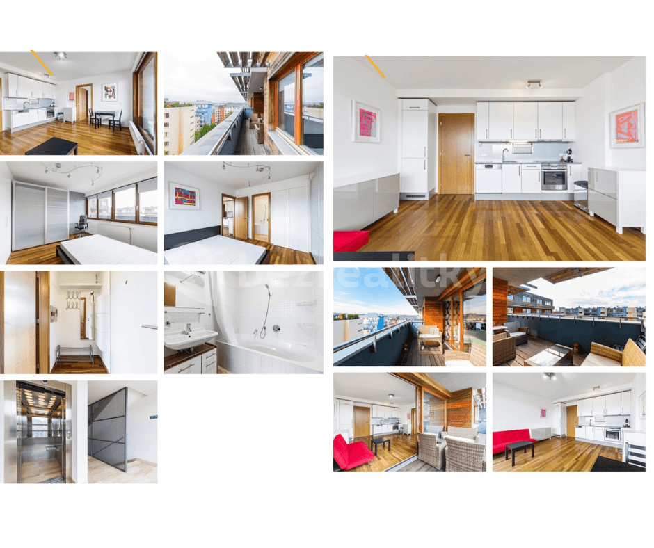 1 bedroom with open-plan kitchen flat to rent, 46 m², Paříkova, Prague, Prague