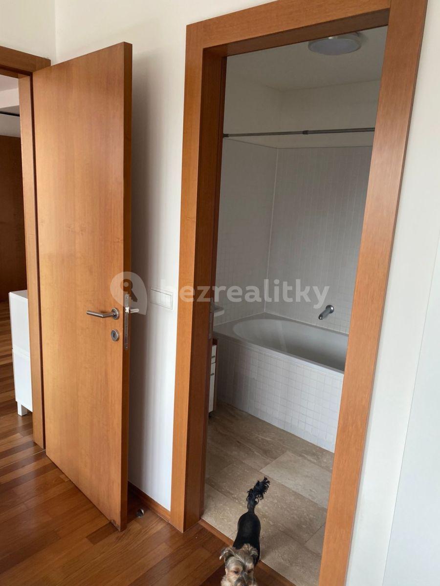 1 bedroom with open-plan kitchen flat to rent, 46 m², Paříkova, Prague, Prague