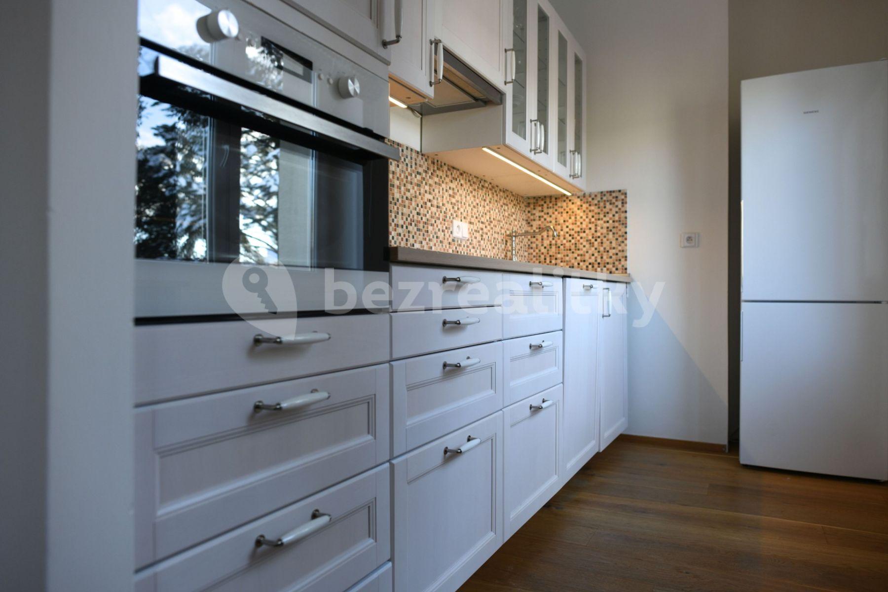 2 bedroom with open-plan kitchen flat to rent, 66 m², U Kruhovky, Prague, Prague