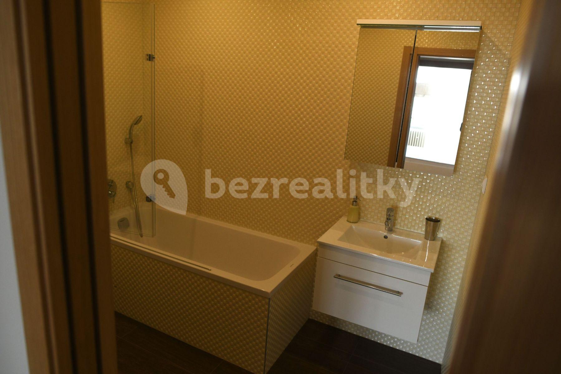 2 bedroom with open-plan kitchen flat to rent, 66 m², U Kruhovky, Prague, Prague