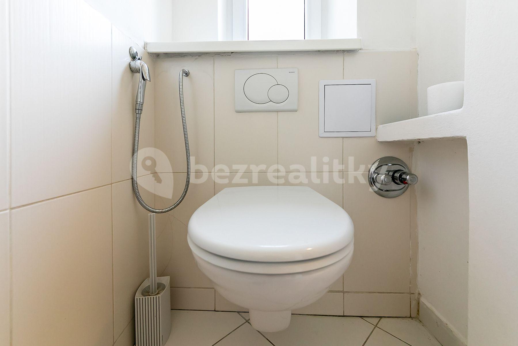 1 bedroom with open-plan kitchen flat for sale, 55 m², Za Tratí, Liberec, Liberecký Region