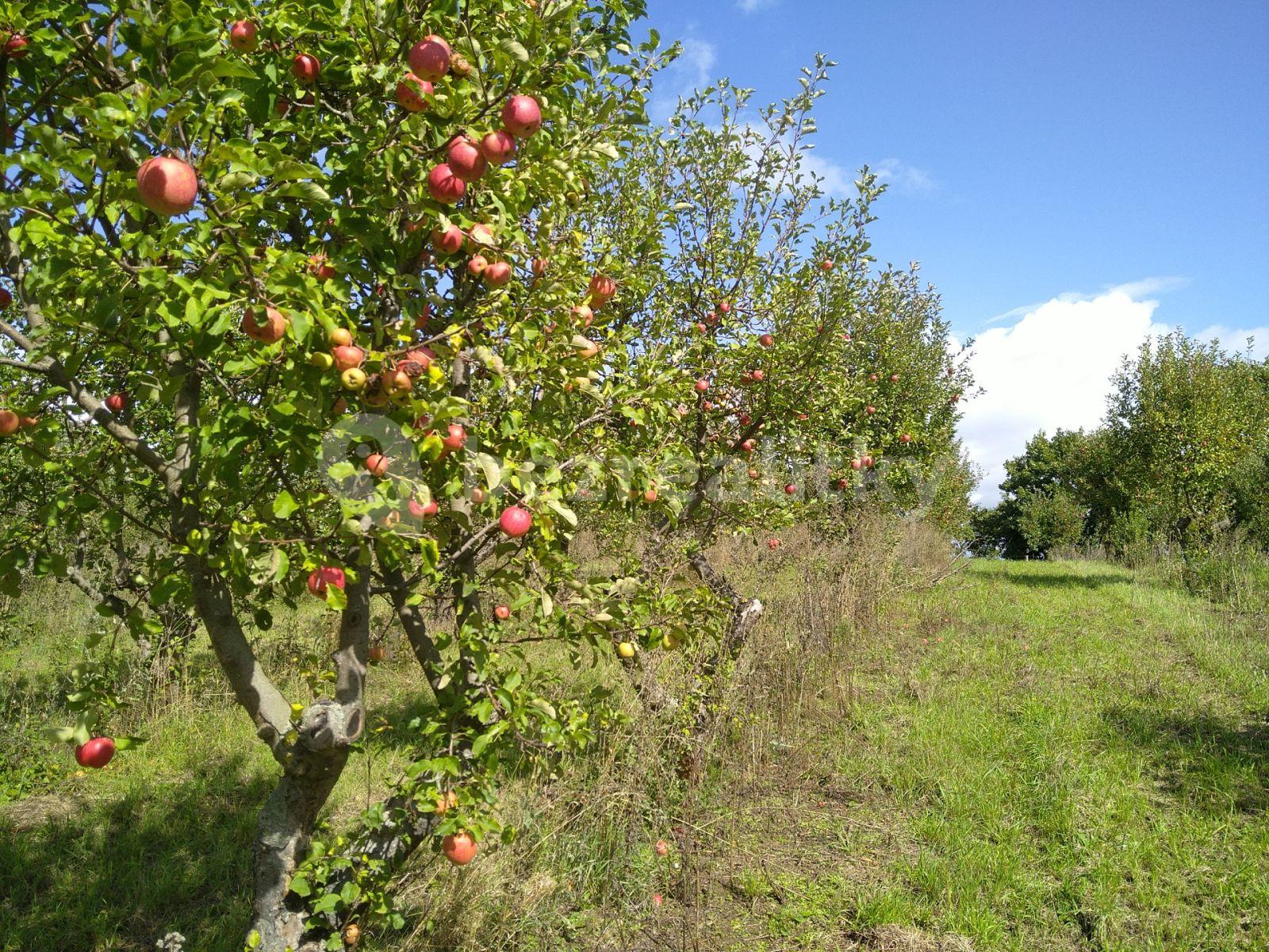 plot for sale, 40,027 m², Chotiměř, Ústecký Region