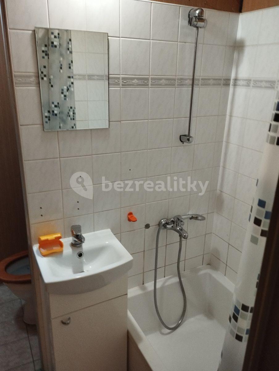 1 bedroom with open-plan kitchen flat to rent, 47 m², Pod hvězdárnou, Teplice, Ústecký Region