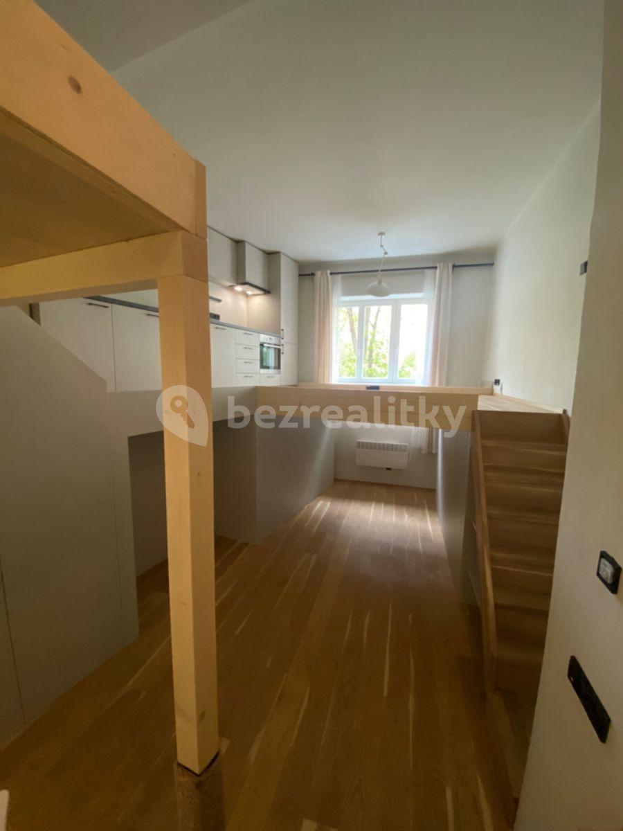 Studio flat to rent, 52 m², Přípotoční, Prague, Prague