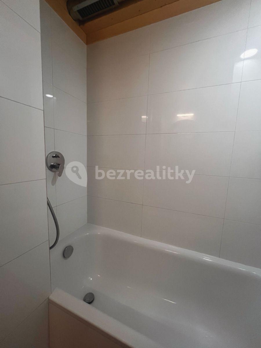 Studio flat to rent, 52 m², Přípotoční, Prague, Prague