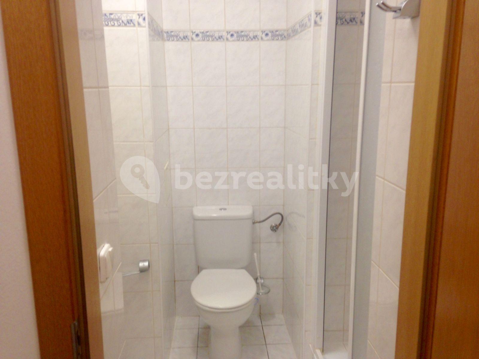 Studio flat to rent, 20 m², Levá, Prague, Prague