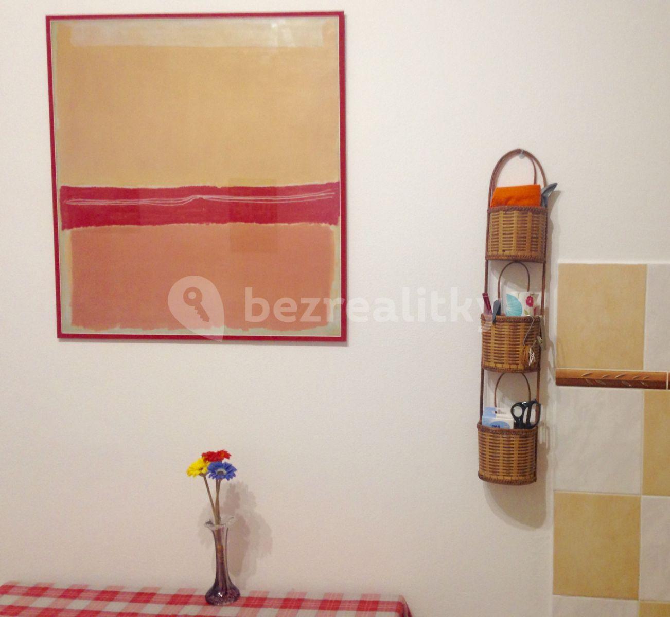 Studio flat to rent, 20 m², Levá, Prague, Prague