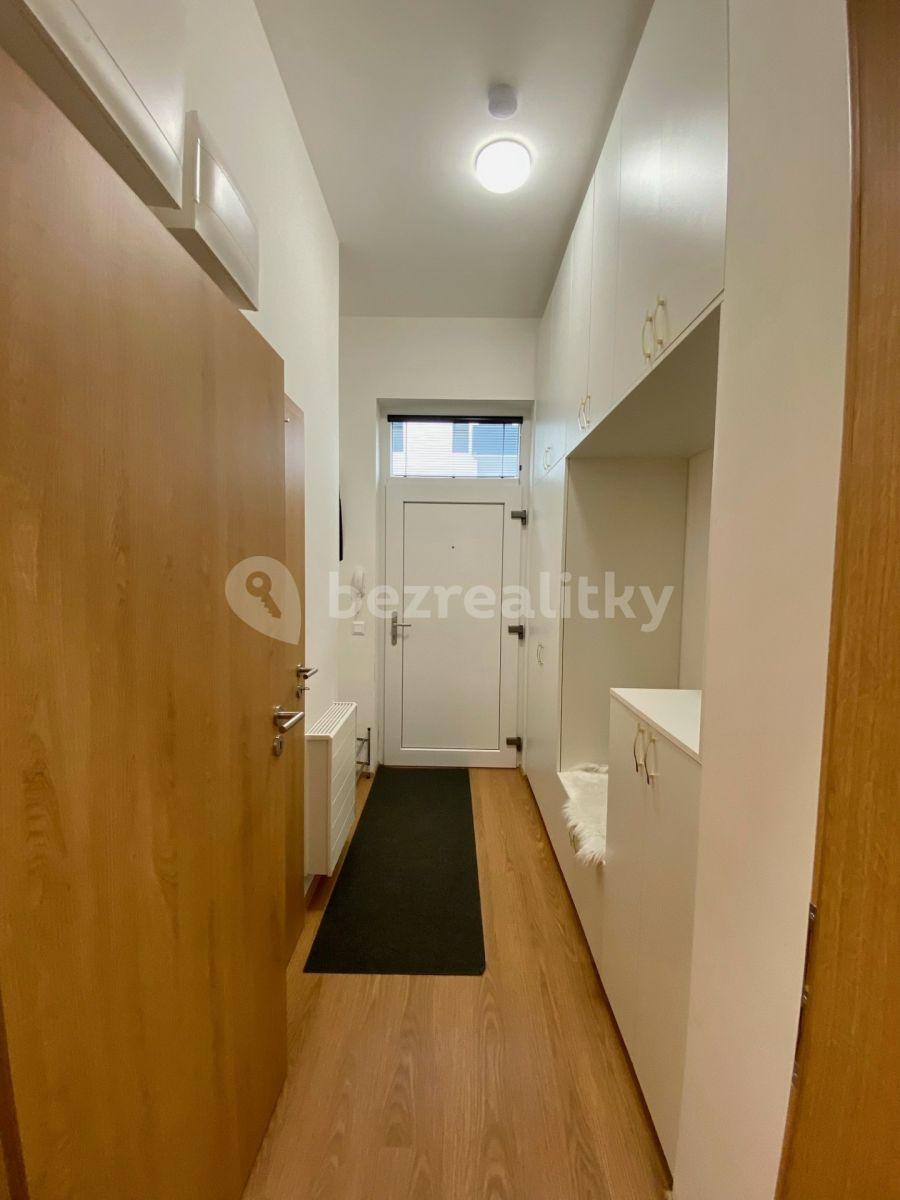 1 bedroom with open-plan kitchen flat to rent, 155 m², Eduarda Hamburgera, Olomouc, Olomoucký Region