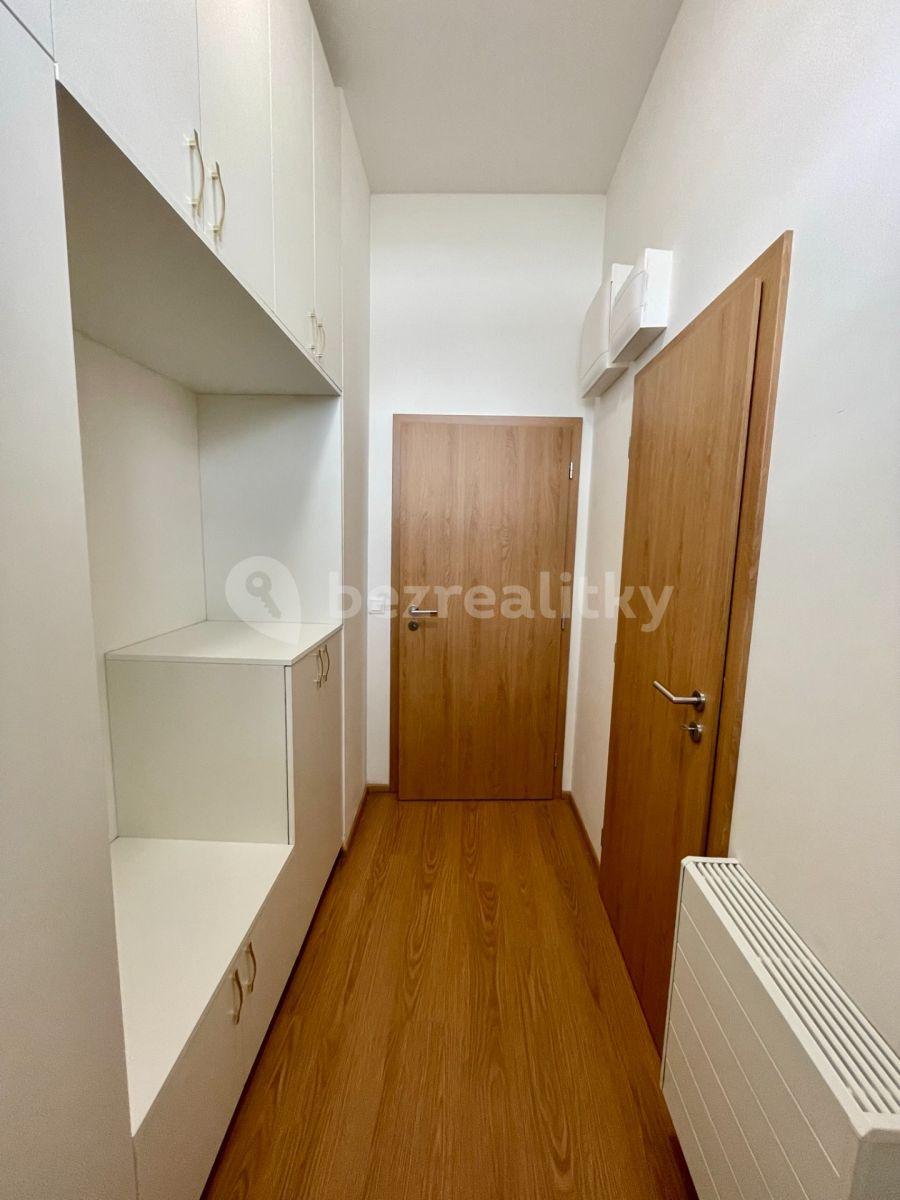 1 bedroom with open-plan kitchen flat to rent, 155 m², Eduarda Hamburgera, Olomouc, Olomoucký Region