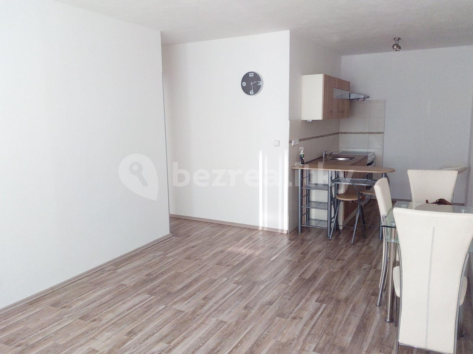 1 bedroom with open-plan kitchen flat to rent, 45 m², Veslařská, Mělník, Středočeský Region