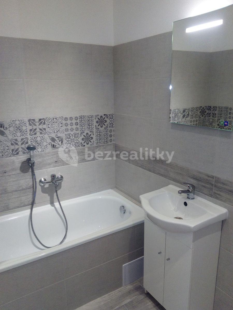 1 bedroom with open-plan kitchen flat to rent, 45 m², Veslařská, Mělník, Středočeský Region