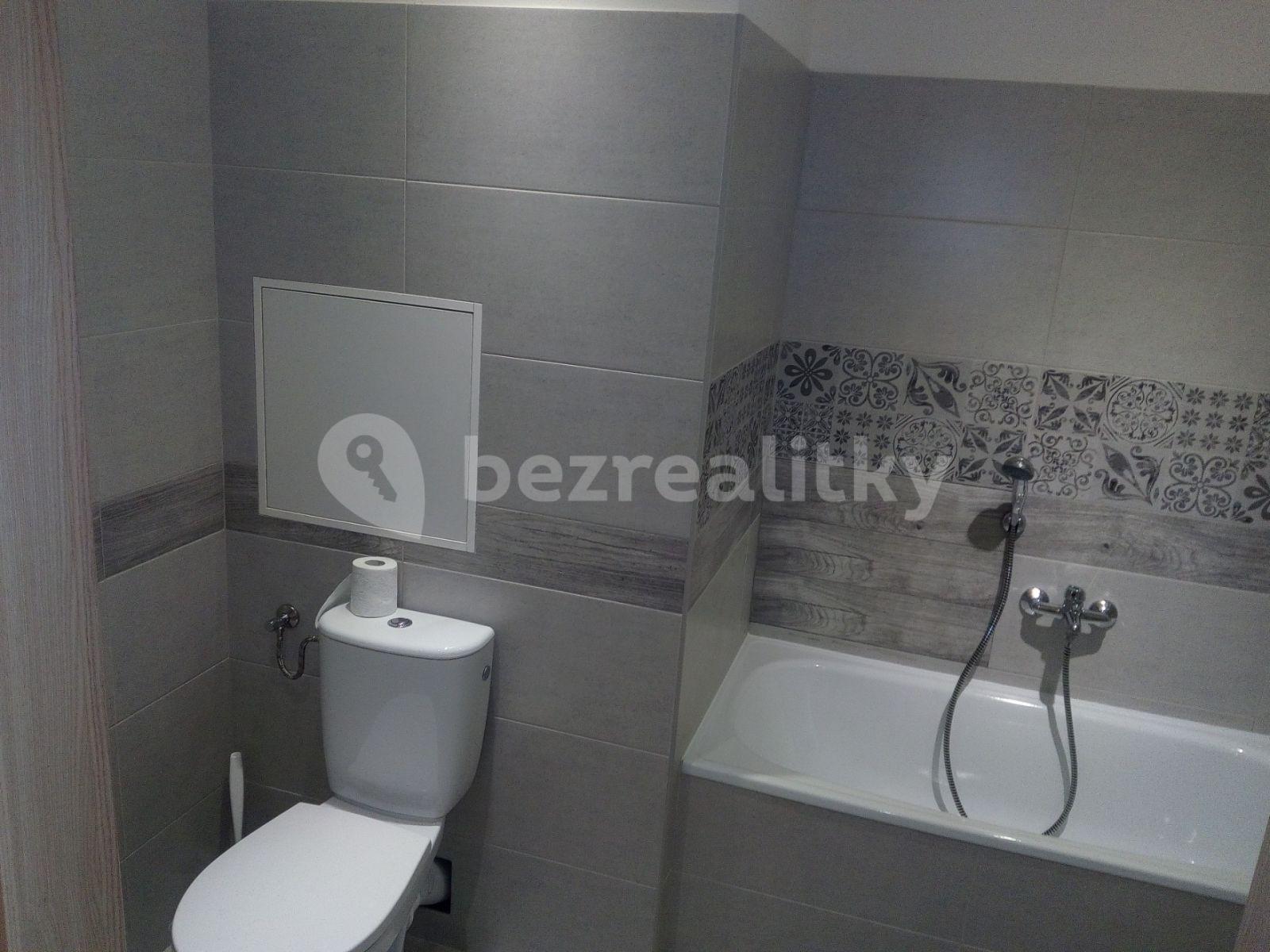 1 bedroom with open-plan kitchen flat to rent, 45 m², Veslařská, Mělník, Středočeský Region