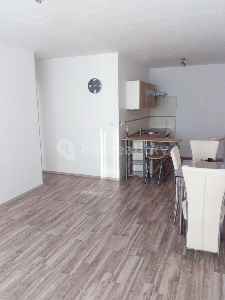 1 bedroom with open-plan kitchen flat to rent, 45 m², Veslařská, Mělník, Středočeský Region