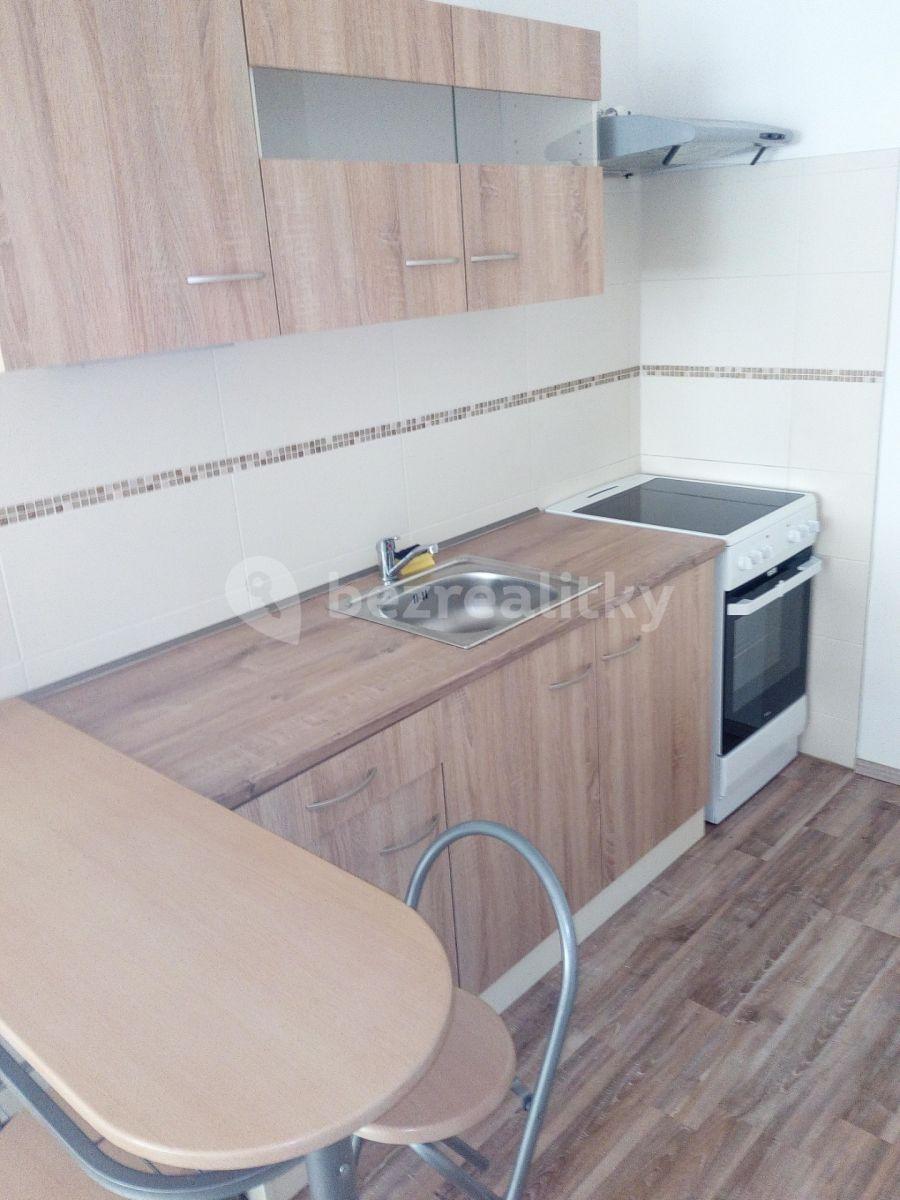 1 bedroom with open-plan kitchen flat to rent, 45 m², Veslařská, Mělník, Středočeský Region