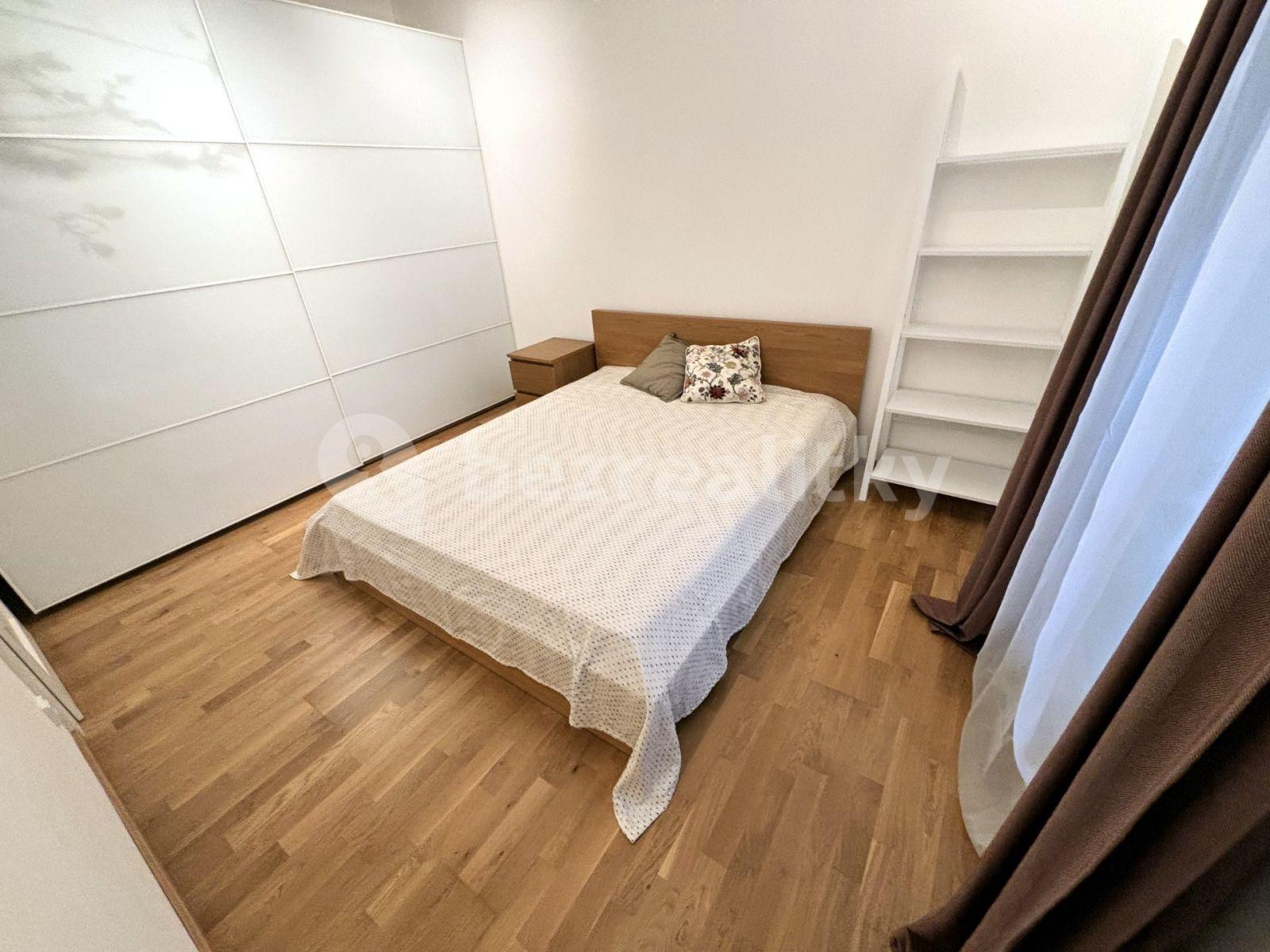 2 bedroom with open-plan kitchen flat to rent, 65 m², Děkanská, Prague, Prague