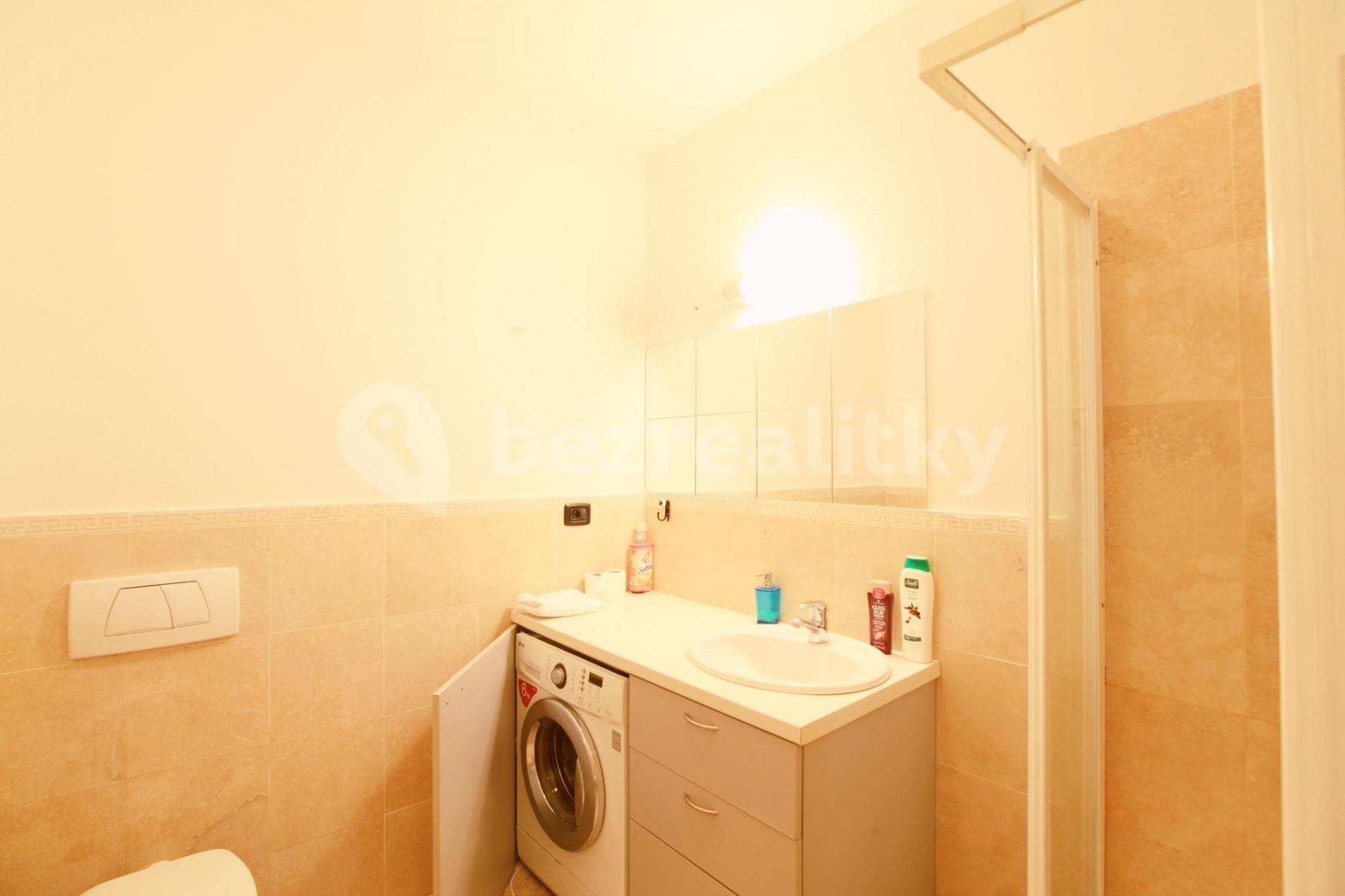 1 bedroom with open-plan kitchen flat to rent, 38 m², Legerova, Prague, Prague