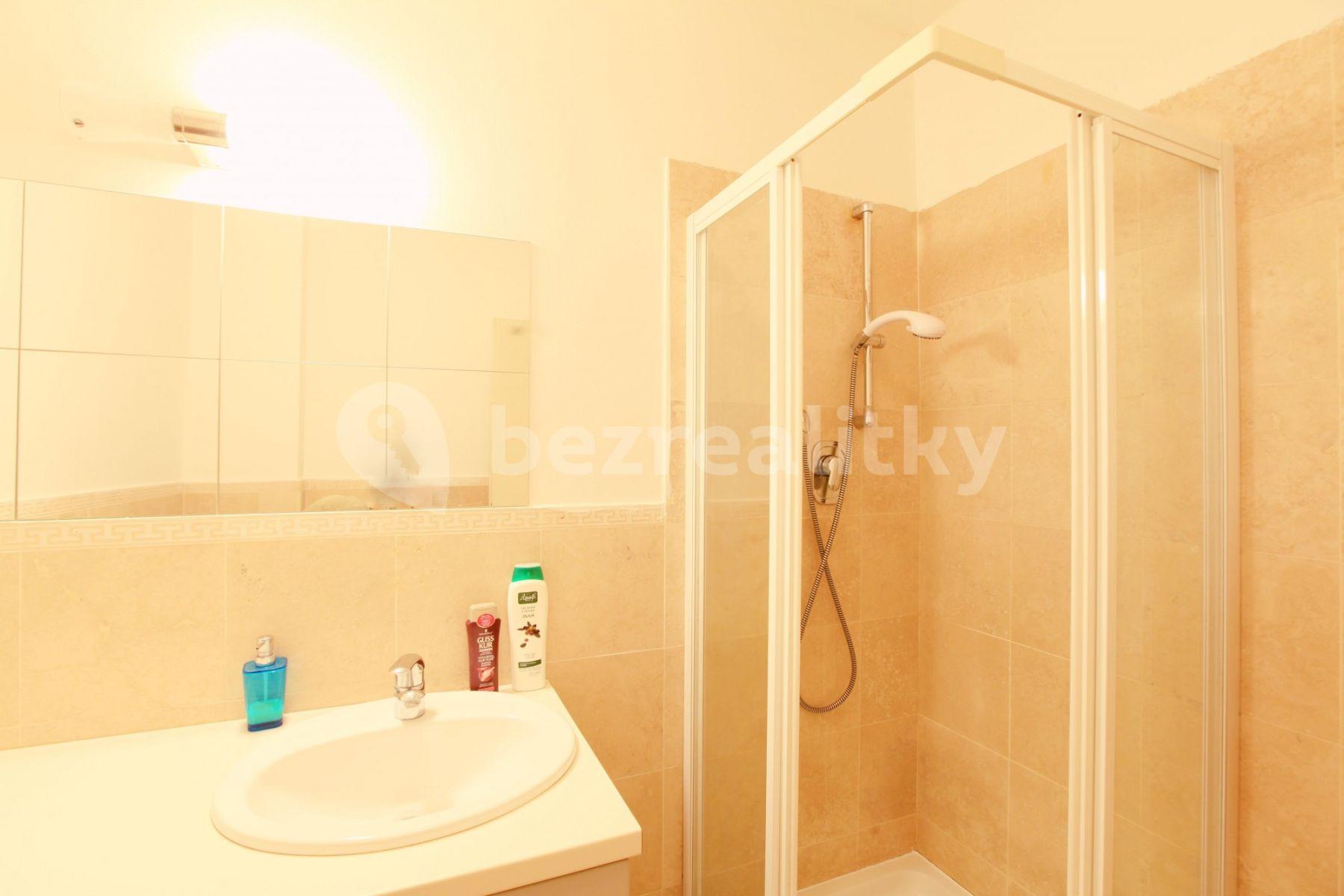 1 bedroom with open-plan kitchen flat to rent, 38 m², Legerova, Prague, Prague