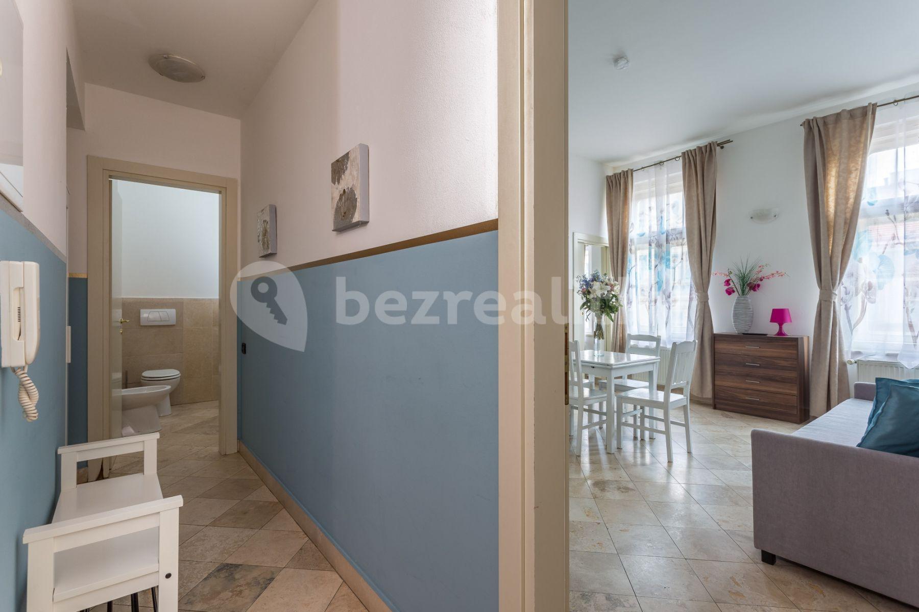 1 bedroom with open-plan kitchen flat to rent, 38 m², Legerova, Prague, Prague