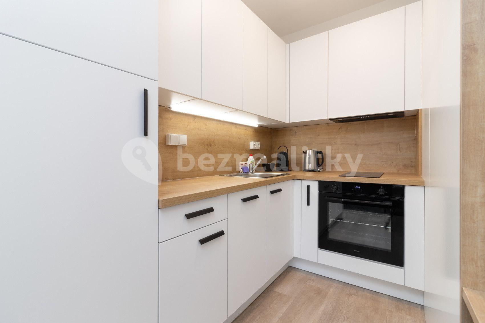 Studio flat to rent, 20 m², Plzeňská, Prague, Prague