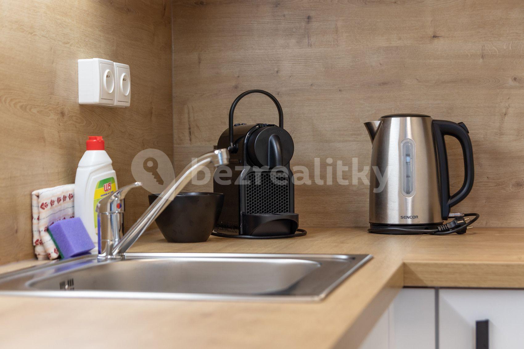 Studio flat to rent, 20 m², Plzeňská, Prague, Prague