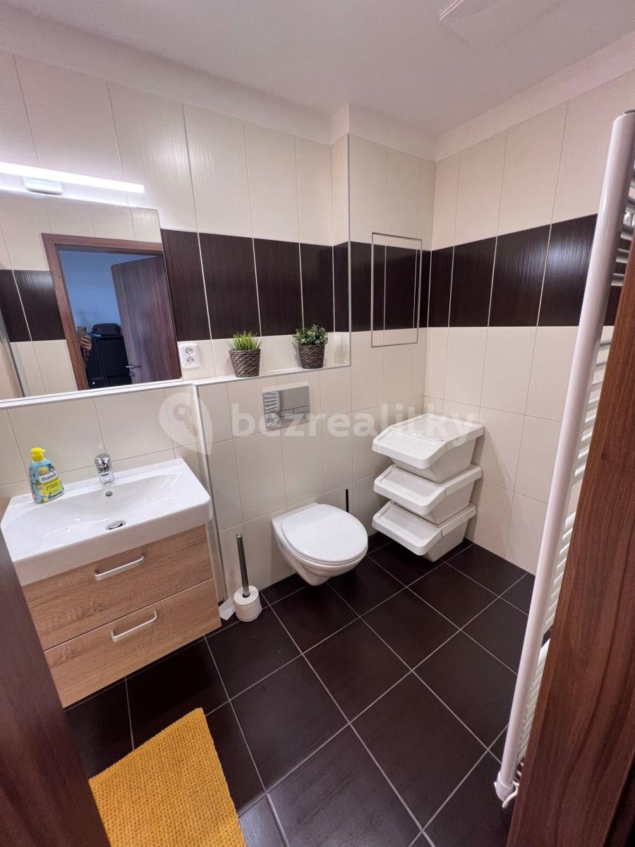 1 bedroom with open-plan kitchen flat to rent, 48 m², Habrová, Pelhřimov, Vysočina Region