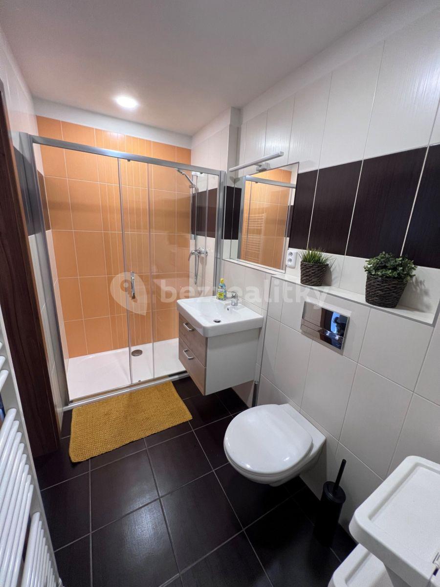 1 bedroom with open-plan kitchen flat to rent, 48 m², Habrová, Pelhřimov, Vysočina Region