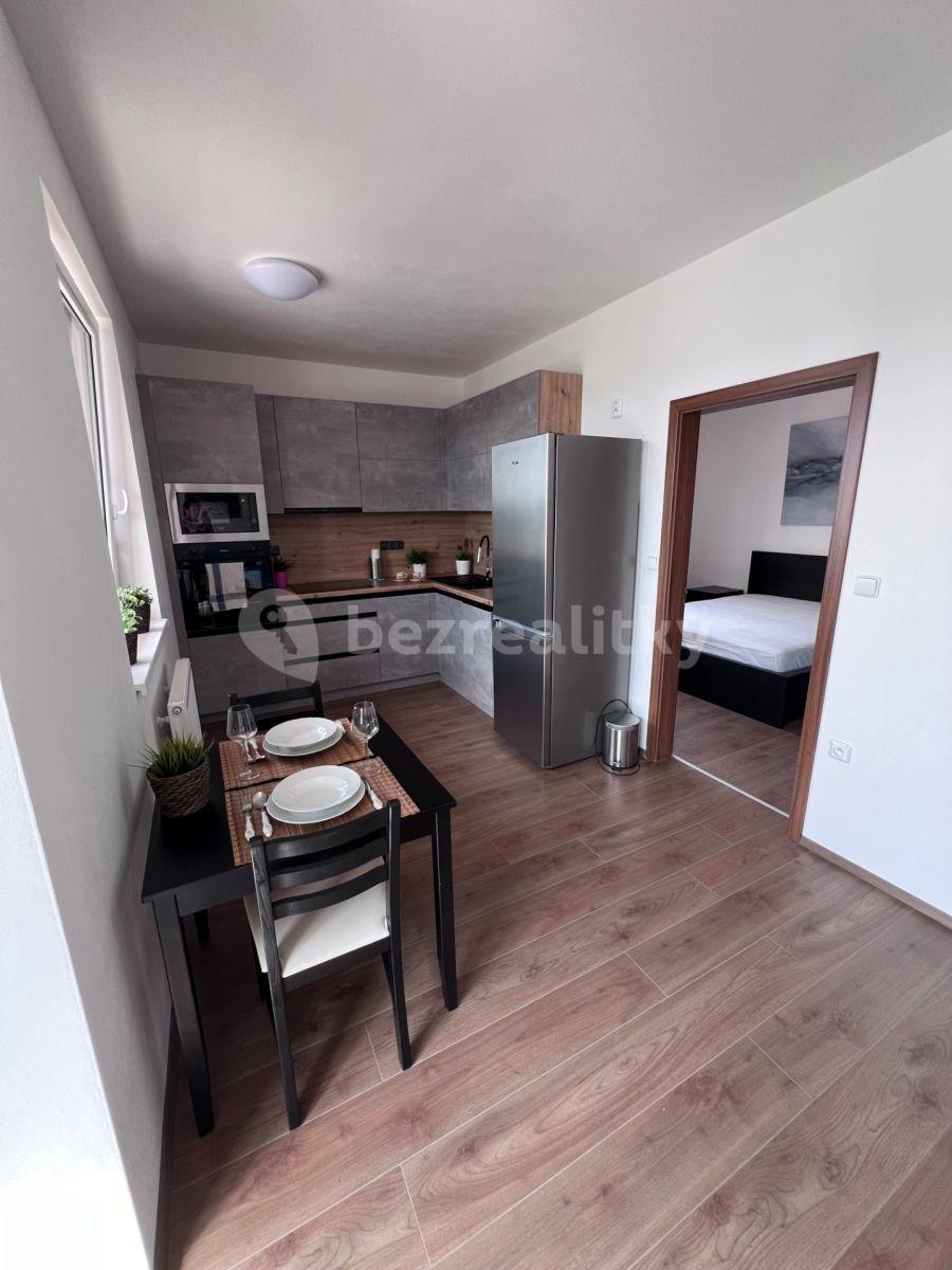 1 bedroom with open-plan kitchen flat to rent, 48 m², Habrová, Pelhřimov, Vysočina Region