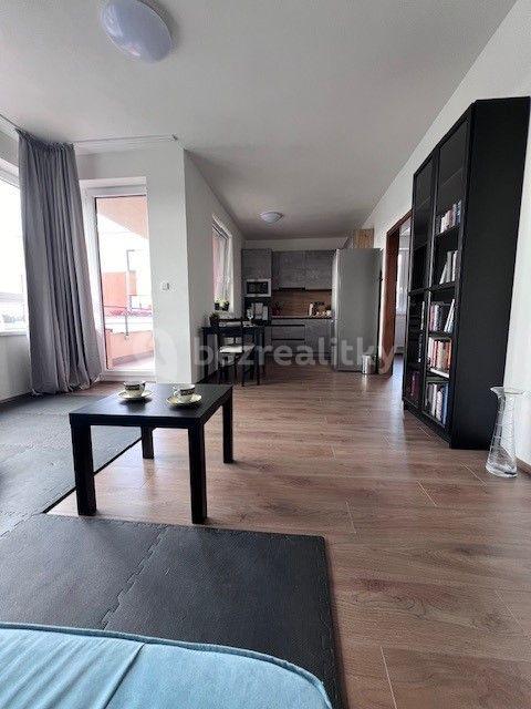 1 bedroom with open-plan kitchen flat to rent, 48 m², Habrová, Pelhřimov, Vysočina Region