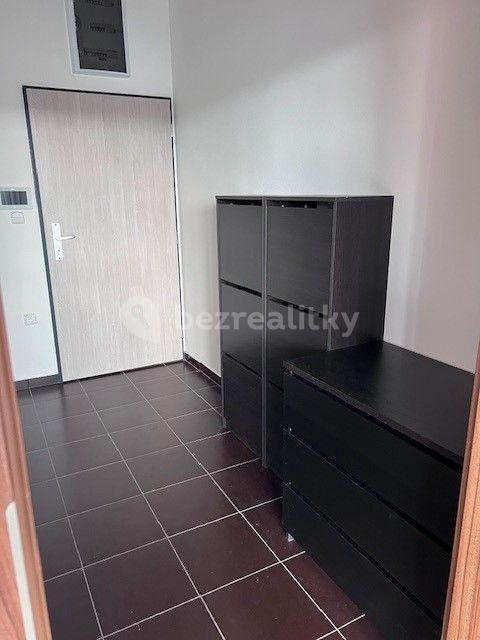 1 bedroom with open-plan kitchen flat to rent, 48 m², Habrová, Pelhřimov, Vysočina Region