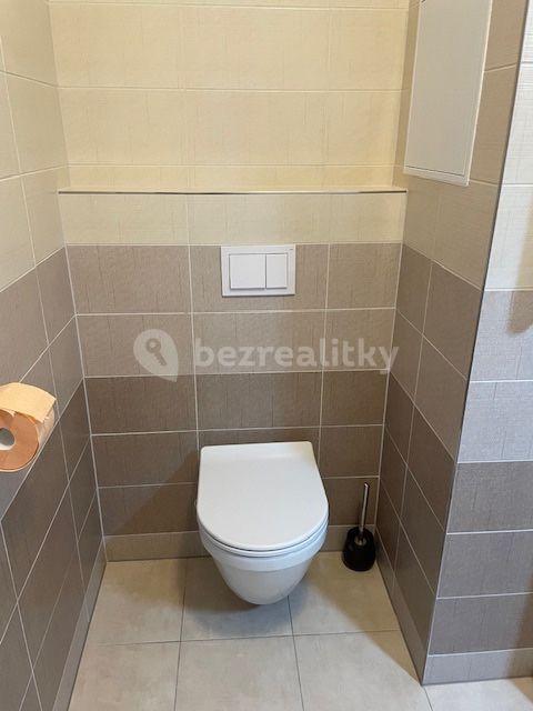 1 bedroom with open-plan kitchen flat to rent, 59 m², Dubeckého, Prague, Prague