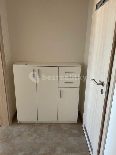 1 bedroom with open-plan kitchen flat to rent, 59 m², Dubeckého, Prague, Prague