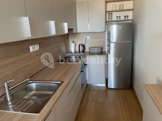 1 bedroom with open-plan kitchen flat to rent, 59 m², Dubeckého, Prague, Prague