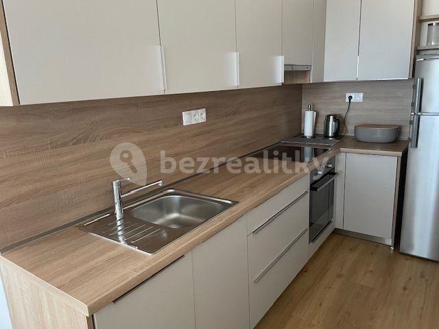 1 bedroom with open-plan kitchen flat to rent, 59 m², Dubeckého, Prague, Prague